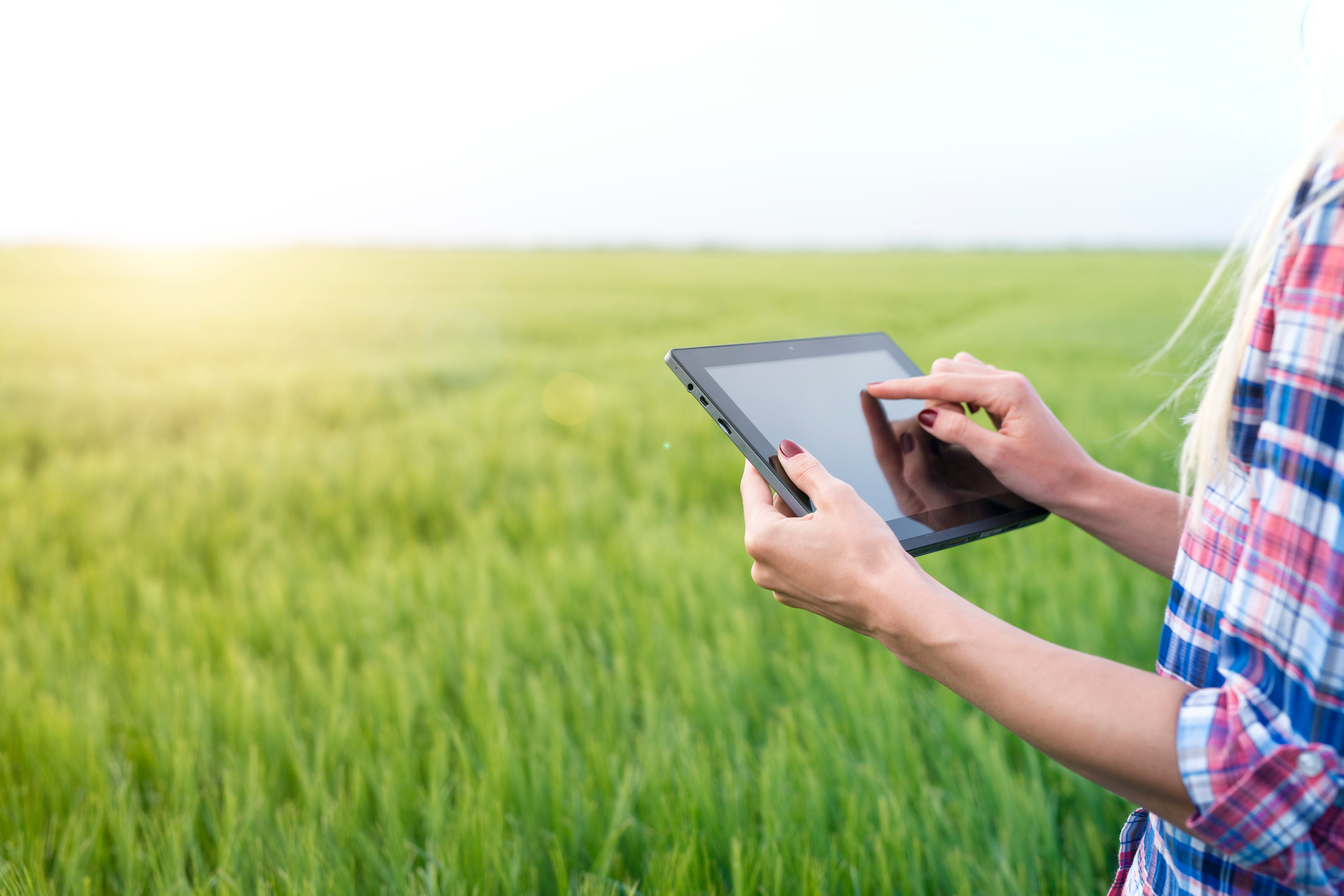tabletfield
